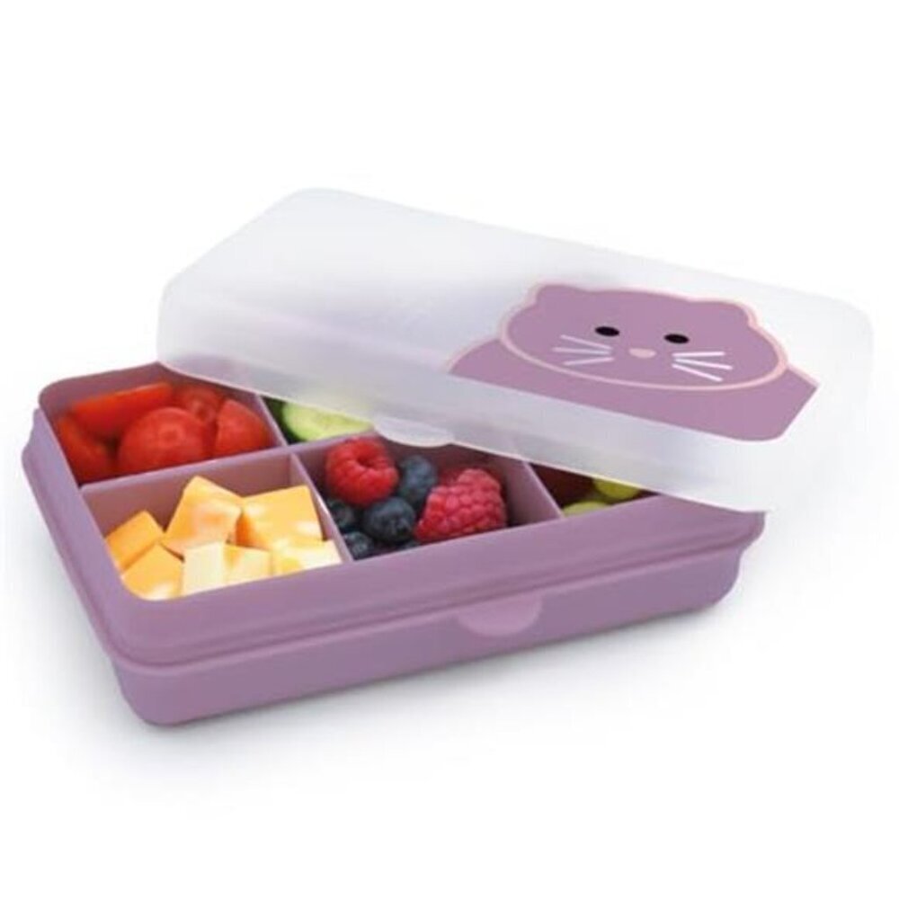 BPA-Free Snack Container 6-Compartment Divided Box